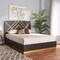 Baxton Studio Arcelia Glam and Luxe Two-Tone Dark Brown and Gold Finished Wood Queen Size Platform Bed 204-12583 - alternate 1